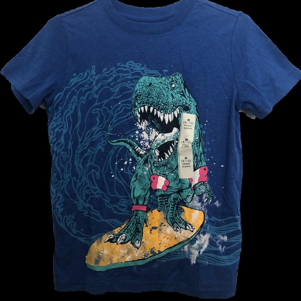 Cat and Jack Dinosaur T-shirt XL (16)